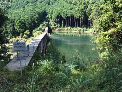 桃沢川のダム