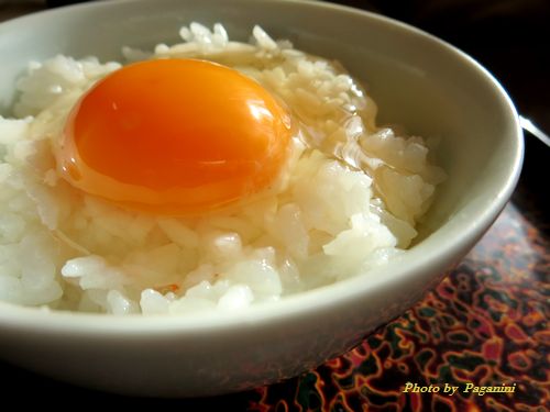 fresh egg on rice