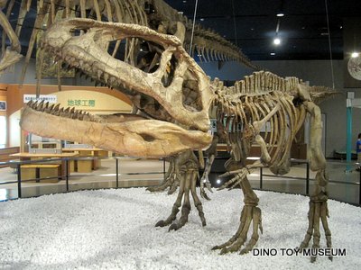 名古屋市科学館のマプサウルス親子
