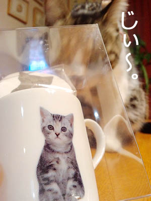 猫さんのマグカップ