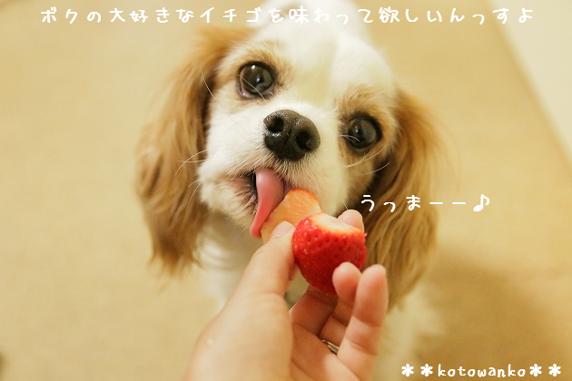 イチゴを食べて欲しい