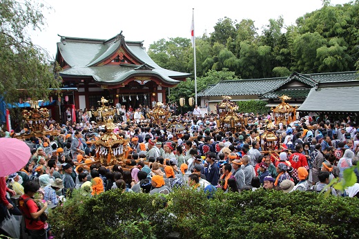 諏訪神社に集結する神輿１