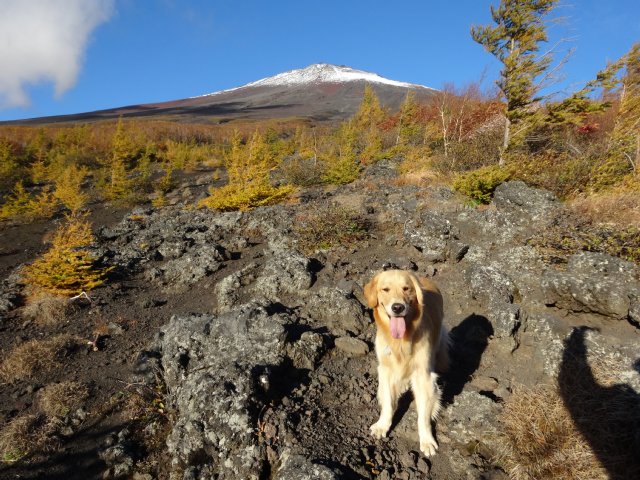 富士山　須走口　犬登山　2015-10-16 052
