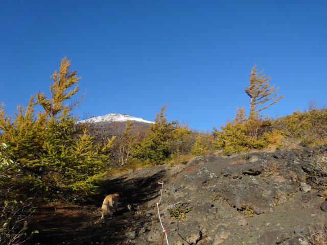 富士山　須走口　犬登山　2015-10-16 059