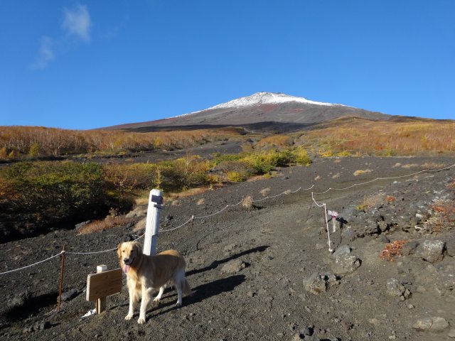 富士山　須走口　犬登山　2015-10-16 064