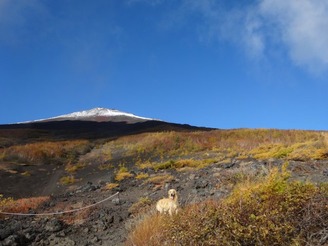 富士山　須走口　犬登山　2015-10-16 078
