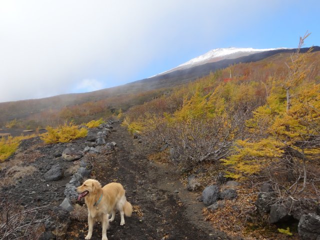 富士山　須走口　犬登山　2015-10-16 080