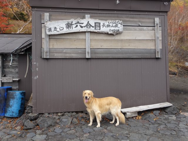 富士山　須走口　犬登山　2015-10-16 086
