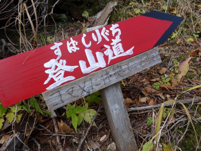 富士山　須走口　犬登山　2015-10-16 099