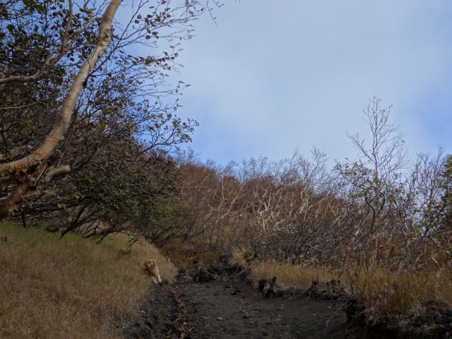 富士山　須走口　犬登山　2015-10-16 109