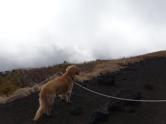 富士山　須走口　犬登山　2015-10-16 113