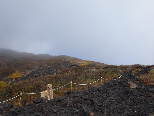 富士山　須走口　犬登山　2015-10-16 119