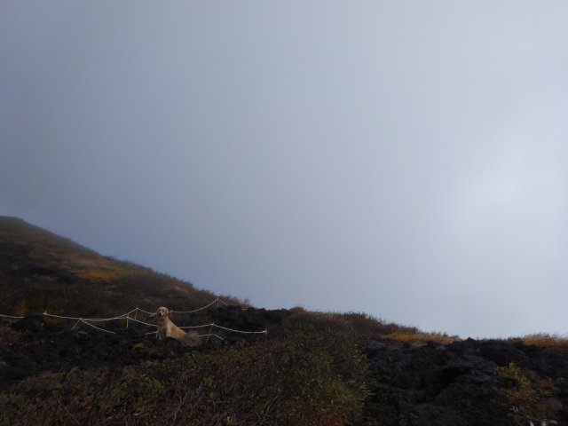 富士山　須走口　犬登山　2015-10-16 120