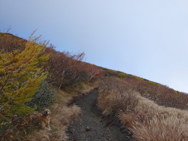 富士山　須走口　犬登山　2015-10-16 121