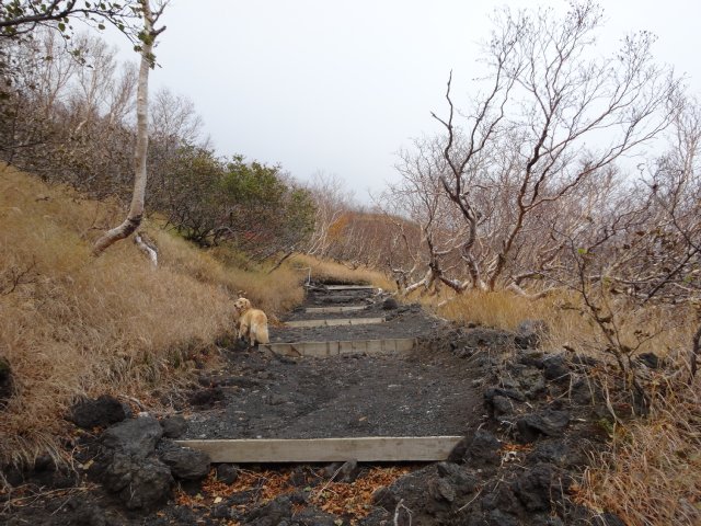 富士山　須走口　犬登山　2015-10-16 129