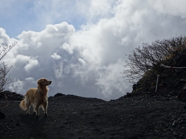 富士山　須走口　犬登山　2015-10-16 131