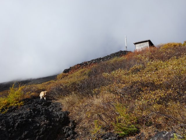 富士山　須走口　犬登山　2015-10-16 133