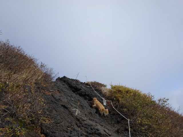 富士山　須走口　犬登山　2015-10-16 145