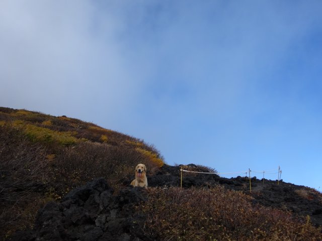 富士山　須走口　犬登山　2015-10-16 153