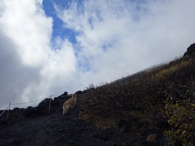 富士山　須走口　犬登山　2015-10-16 155