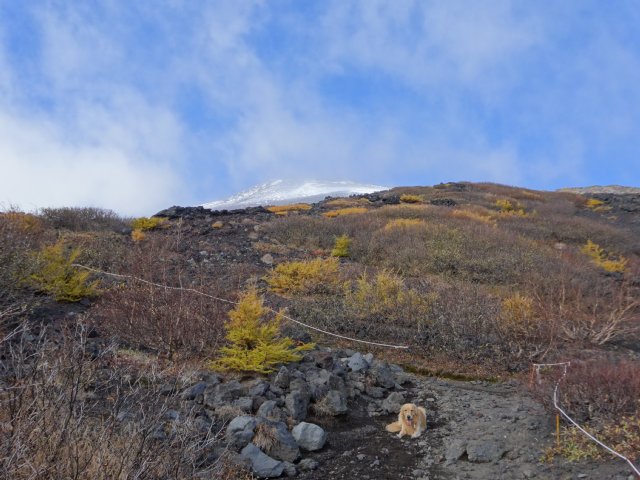 富士山　須走口　犬登山　2015-10-16 161