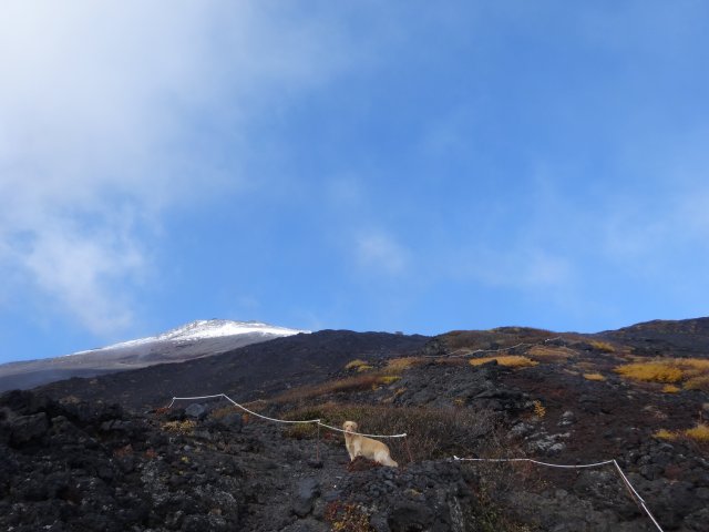 富士山　須走口　犬登山　2015-10-16 166