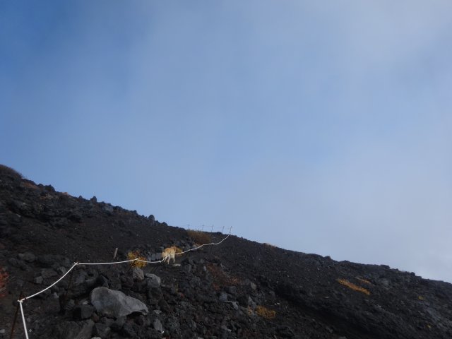 富士山　須走口　犬登山　2015-10-16 175