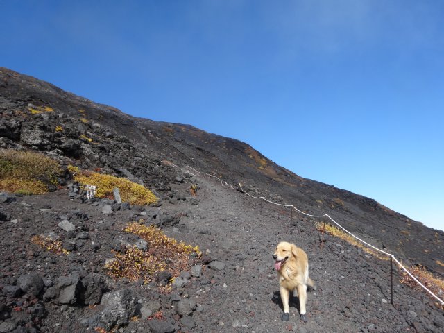 富士山　須走口　犬登山　2015-10-16 176