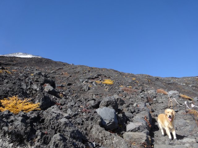 富士山　須走口　犬登山　2015-10-16 184