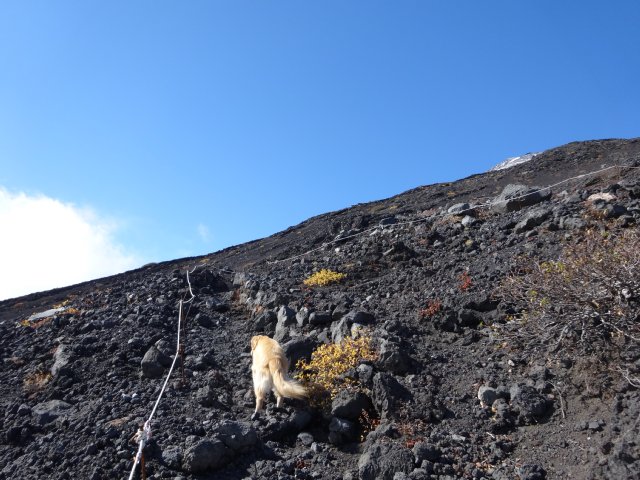 富士山　須走口　犬登山　2015-10-16 186