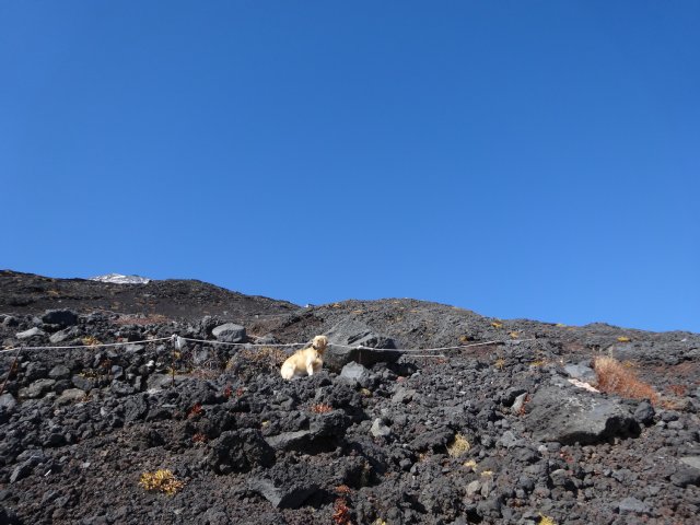 富士山　須走口　犬登山　2015-10-16 188