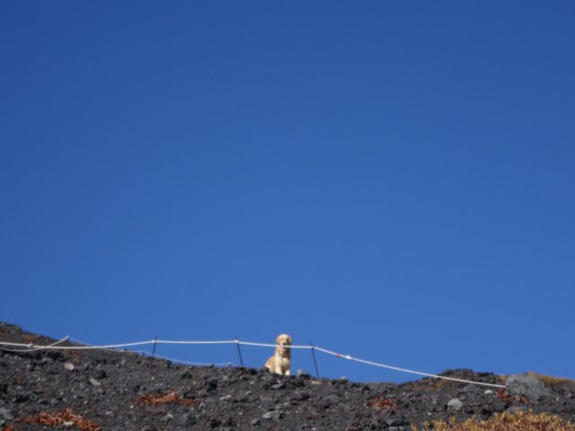 富士山　須走口　犬登山　2015-10-16 193