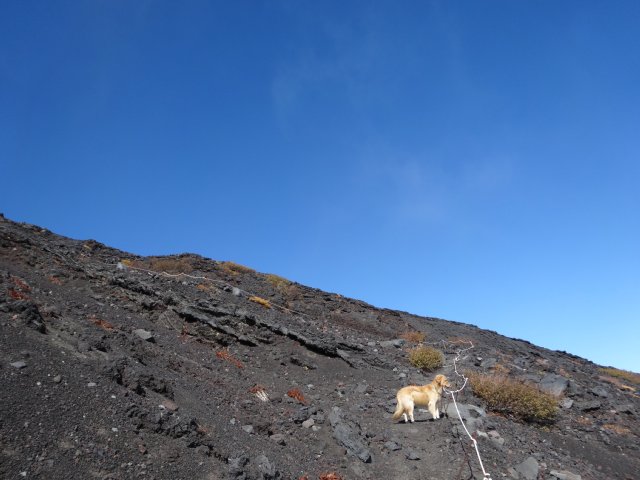 富士山　須走口　犬登山　2015-10-16 195