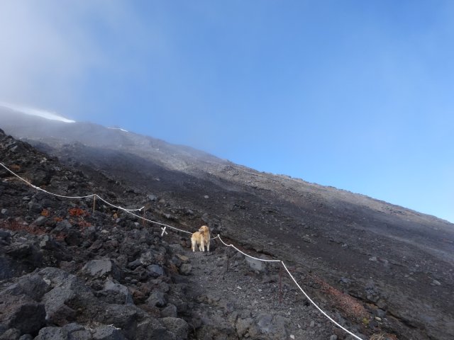 富士山　須走口　犬登山　2015-10-16 205