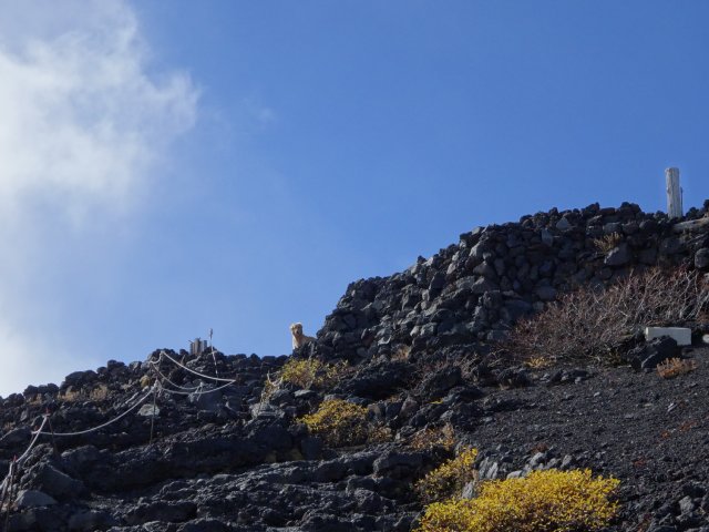 富士山　須走口　犬登山　2015-10-16 207