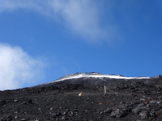 富士山　須走口　犬登山　2015-10-16 215