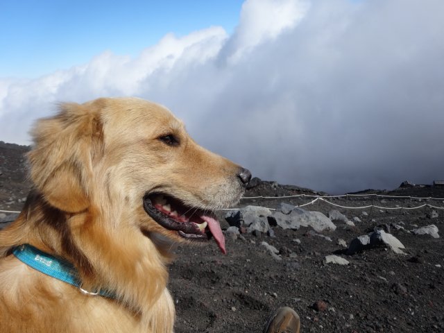 富士山　須走口　犬登山　2015-10-16 219