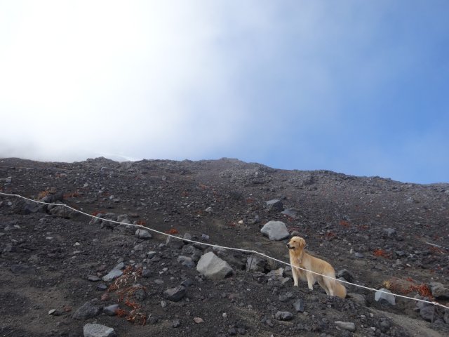 富士山　須走口　犬登山　2015-10-16 222
