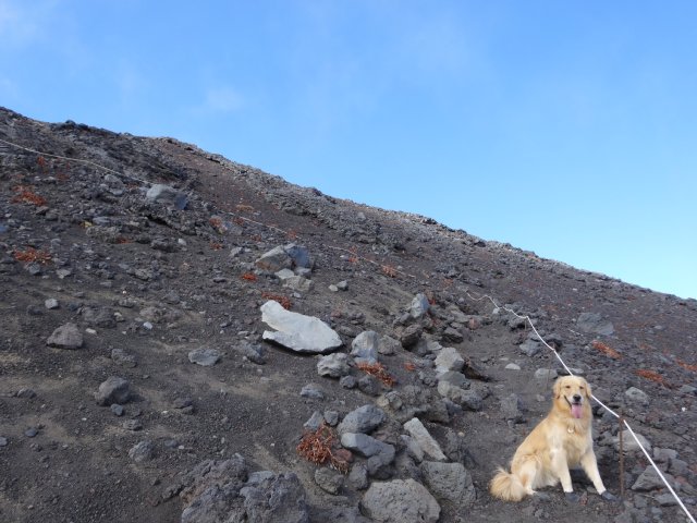 富士山　須走口　犬登山　2015-10-16 224