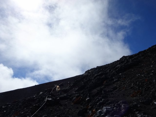 富士山　須走口　犬登山　2015-10-16 225