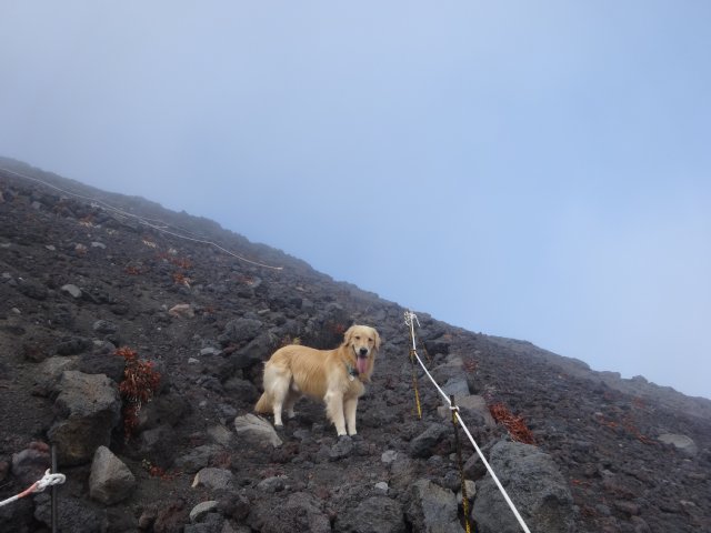 富士山　須走口　犬登山　2015-10-16 229