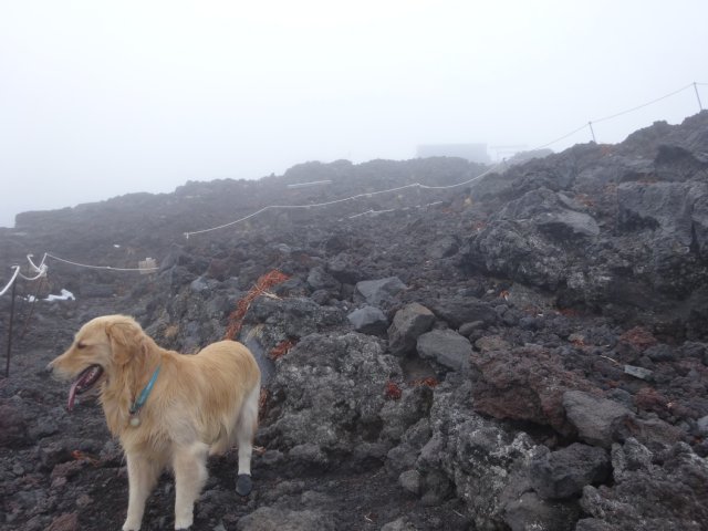 富士山　須走口　犬登山　2015-10-16 234