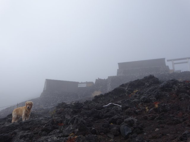 富士山　須走口　犬登山　2015-10-16 235