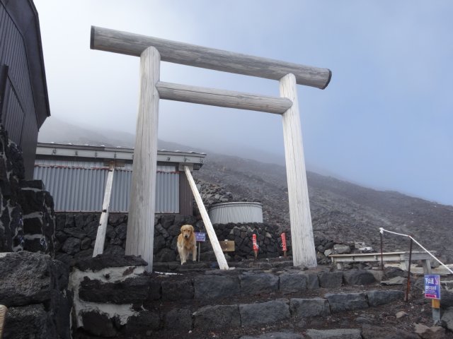 富士山　須走口　犬登山　2015-10-16 238