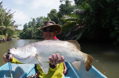 インドネシア、釣り、ケアンズ-07092015-1
