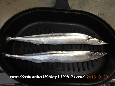 2015年9月29日秋刀魚