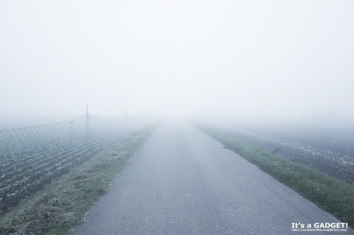 濃霧の道