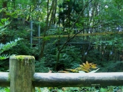 トリムの森「こどもの城」吊り橋